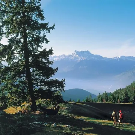 Hostel New! Private And Alpine Style Single Room At 500M To Ski Lifts And Leysin Center