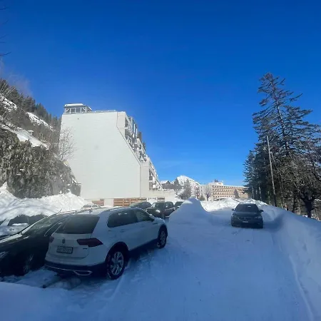 New! Private And Alpine Style Single Room At 500M To Ski Lifts And Leysin Center Auberge de jeunesse *